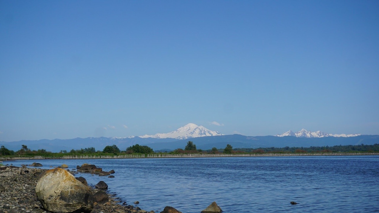 Photo of Others in Ferndale