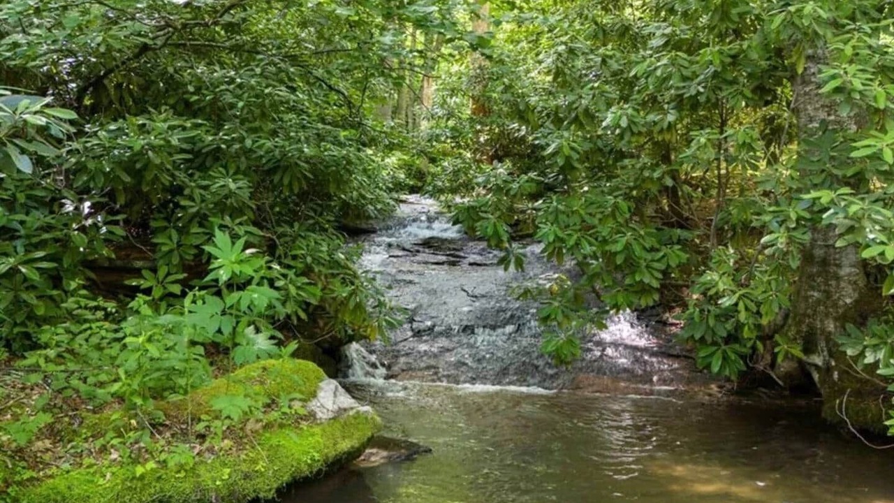 Photo of Others in Cullowhee