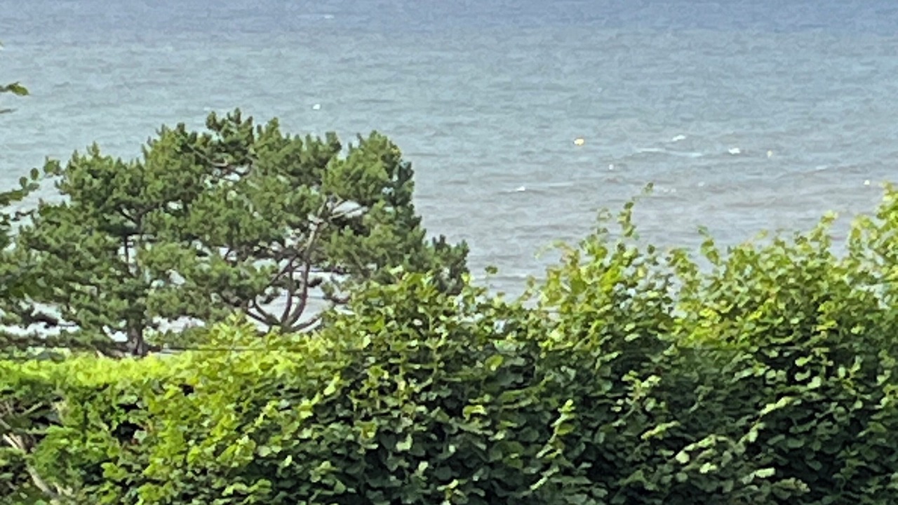 Photo of Others in Benerville-sur-Mer