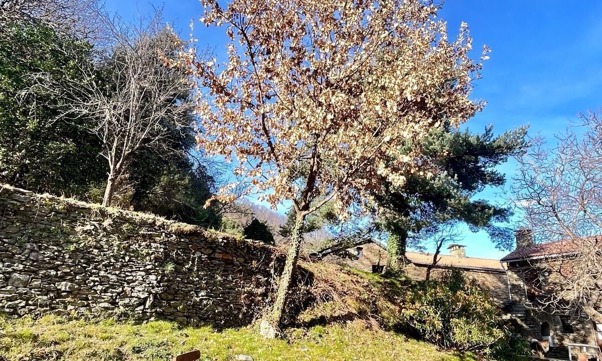 Photo of Outdoor in Saint-Hilaire-de-Lavit