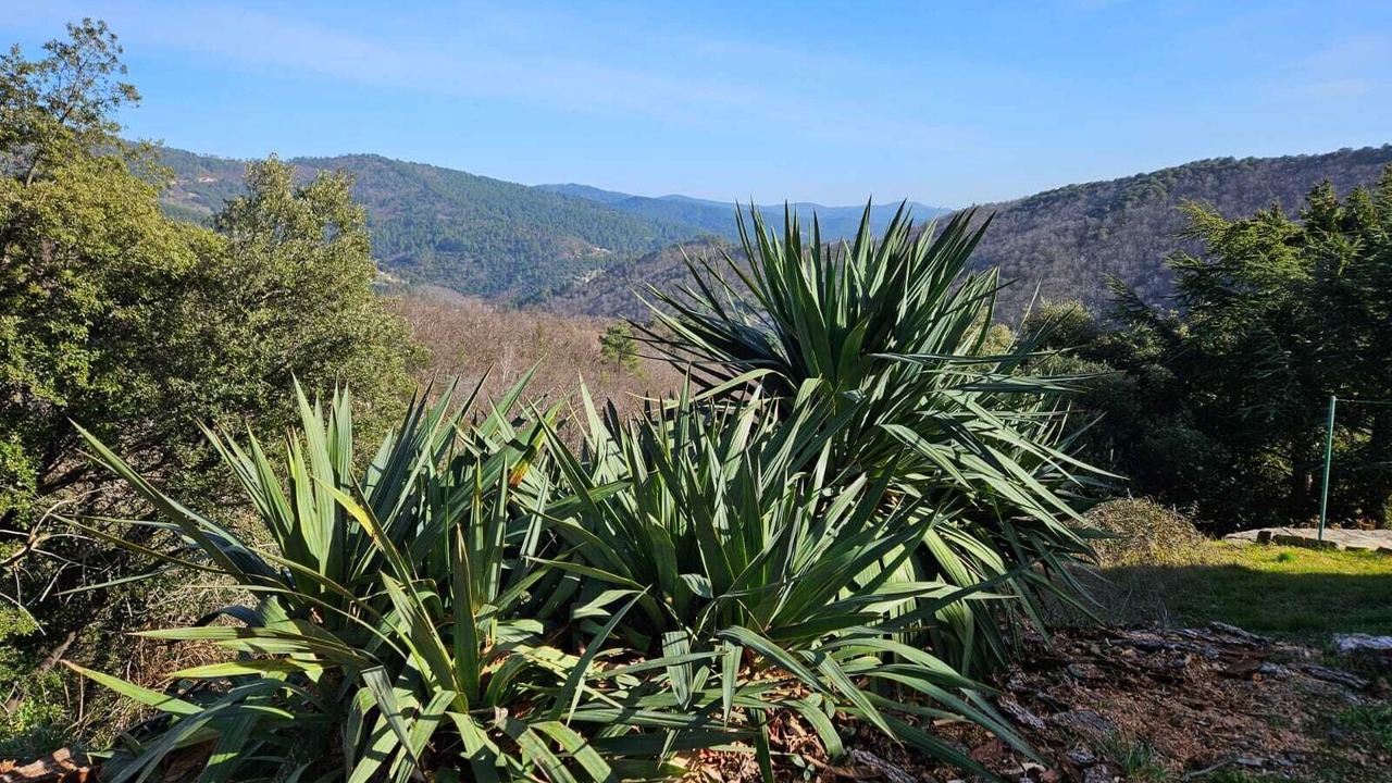 Photo of Outdoor in Saint-Hilaire-de-Lavit