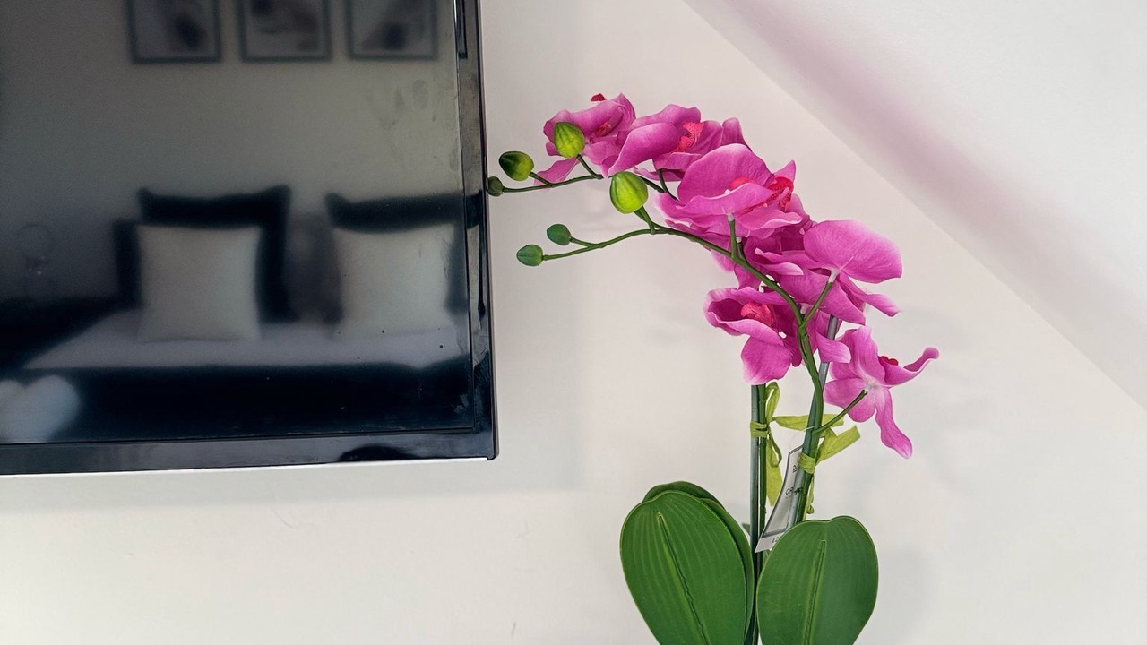 Photo of Others in Lower Edmonton