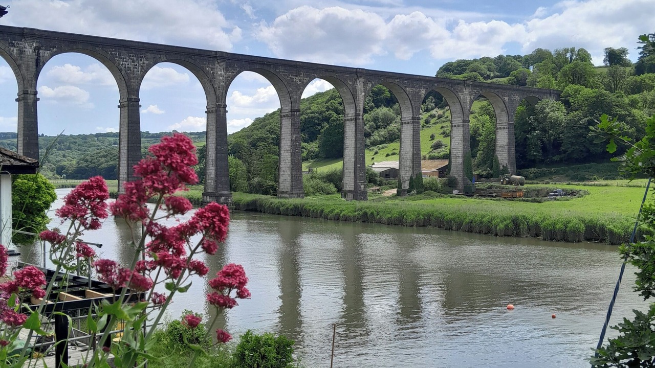 Photo of Others in Calstock
