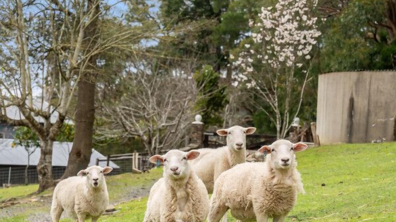 Photo of Outdoor in Basket Range