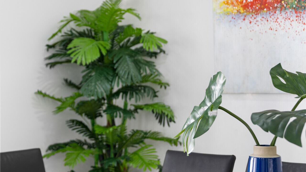 Photo of Others in West Beach