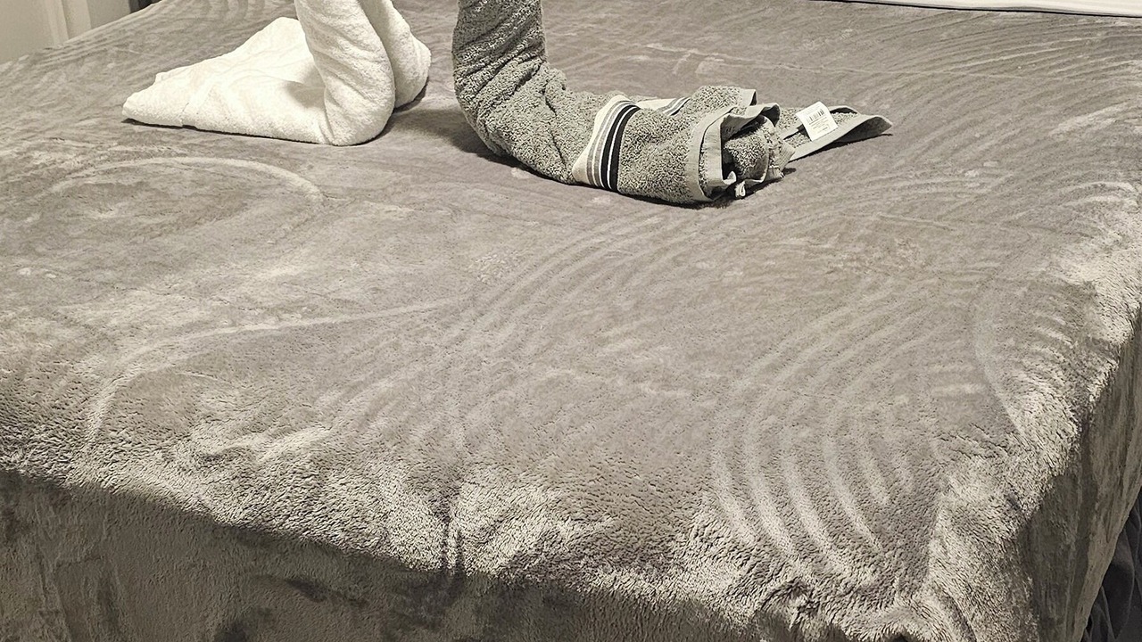 Photo of Bedroom in Miramar