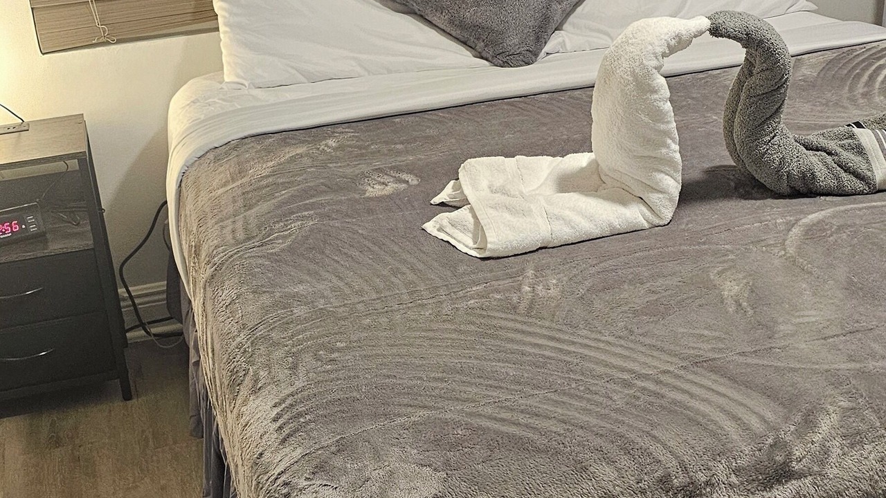 Photo of Bedroom in Miramar