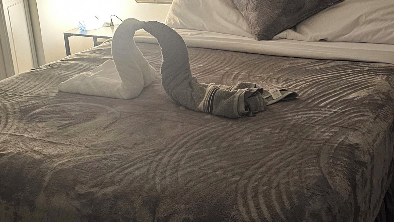 Photo of Bedroom in Miramar