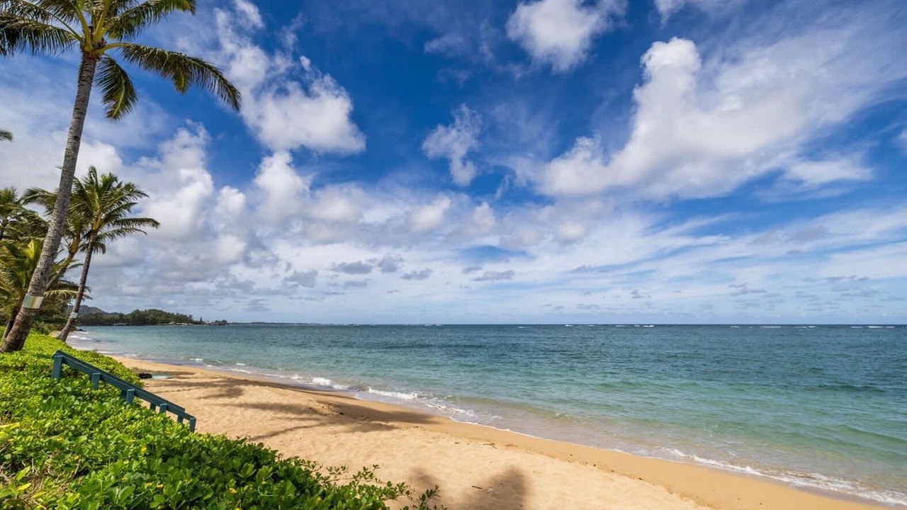 Photo of Others in Punaluu