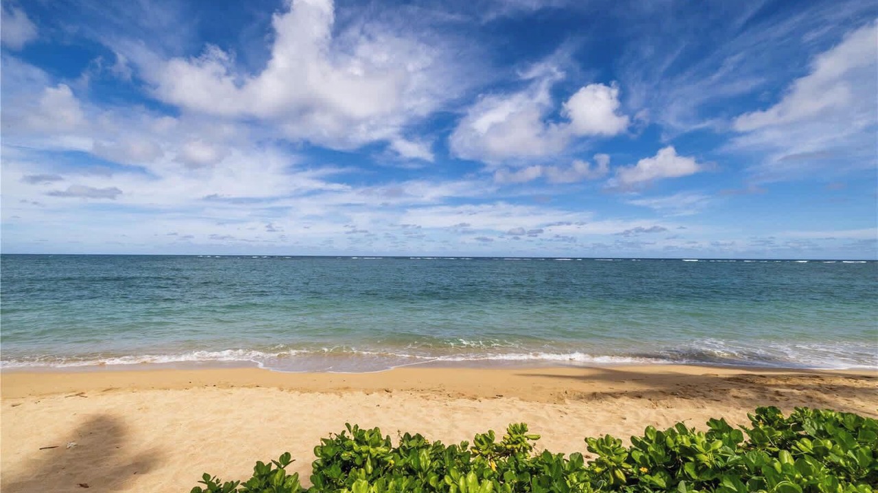 Photo of Others in Punaluu