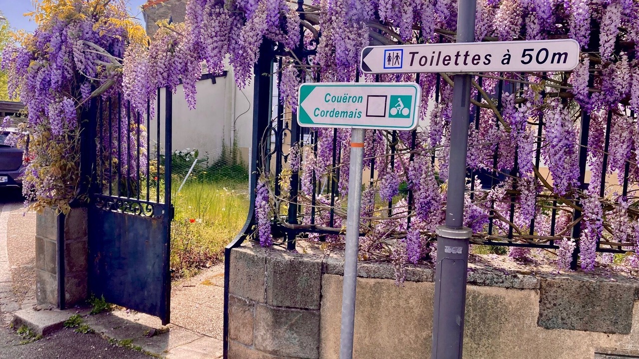 Photo of Outdoor in Saint-Etienne-de-Montluc