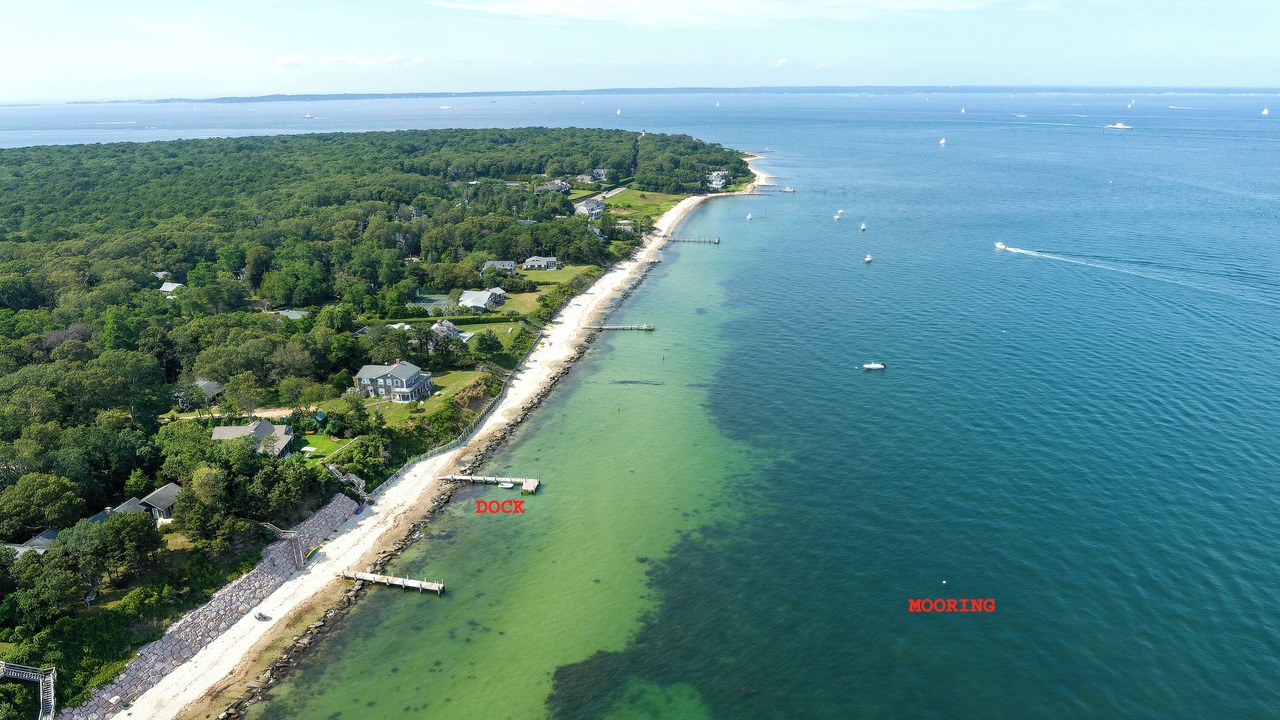 Photo of Others in Tisbury