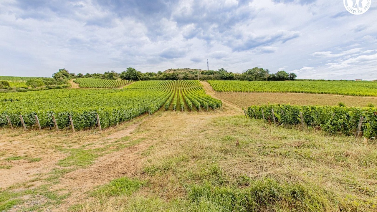 Photo of Others in Maconnais Beaujolais Agglomeration