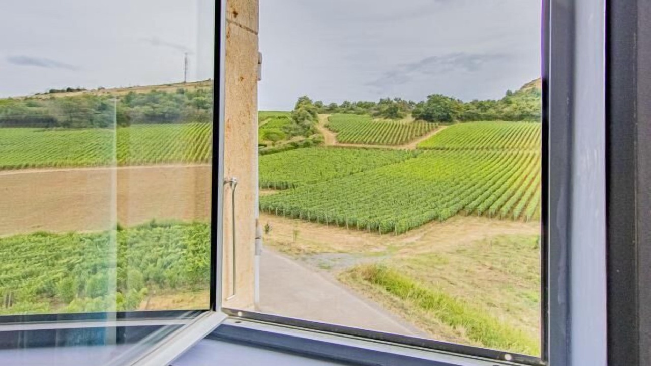 Photo of Others in Maconnais Beaujolais Agglomeration