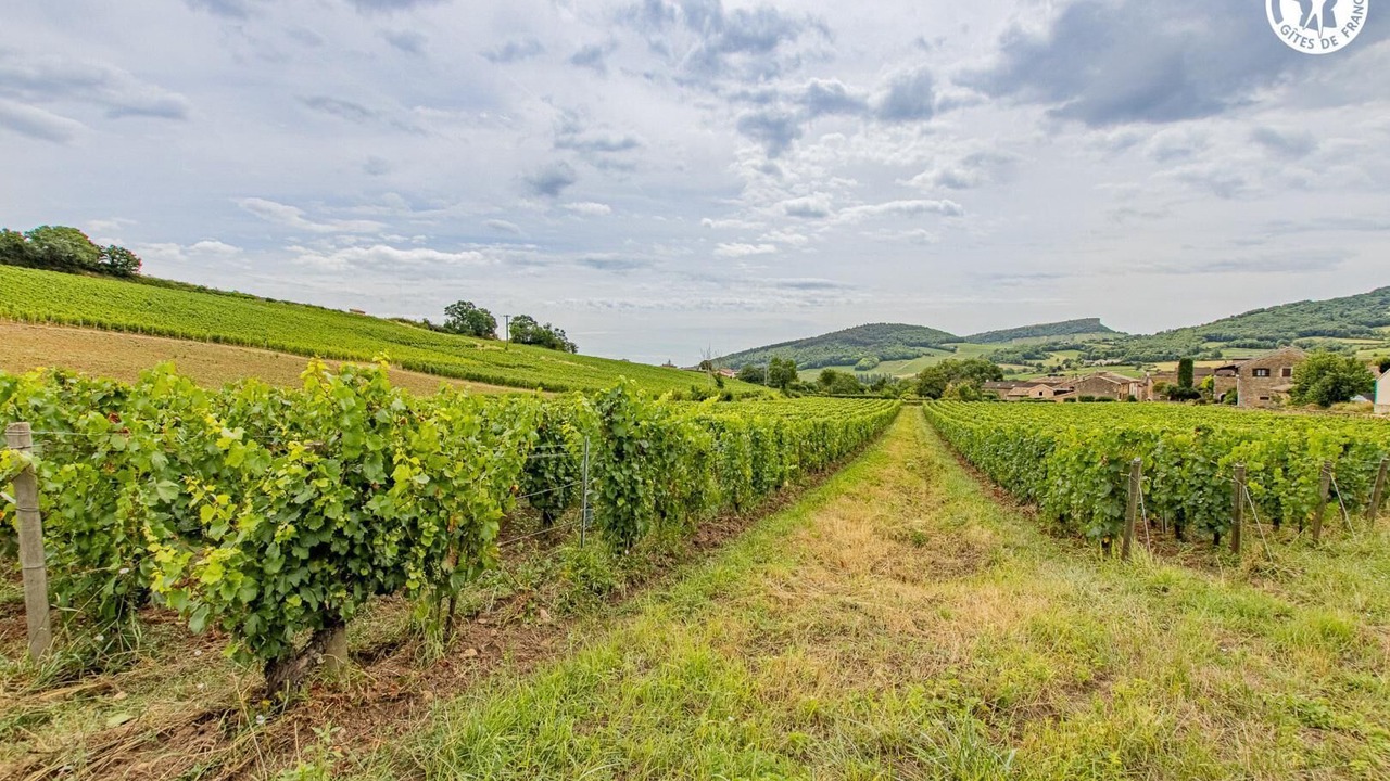 Photo of Others in Maconnais Beaujolais Agglomeration