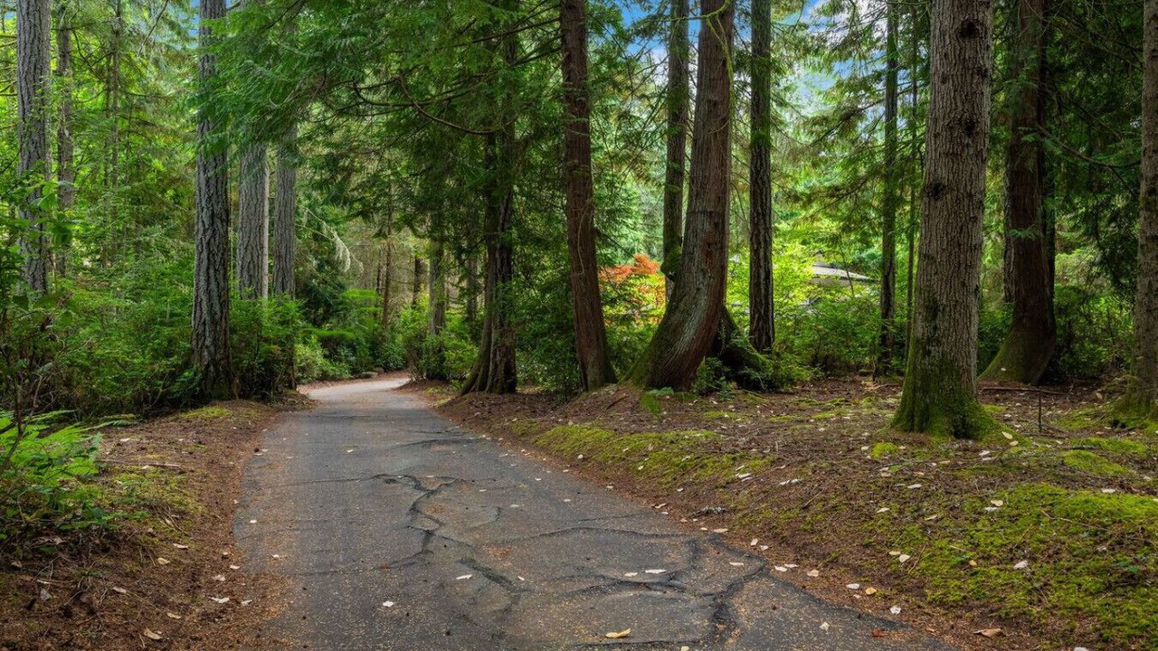 Photo of Others in Gig Harbor