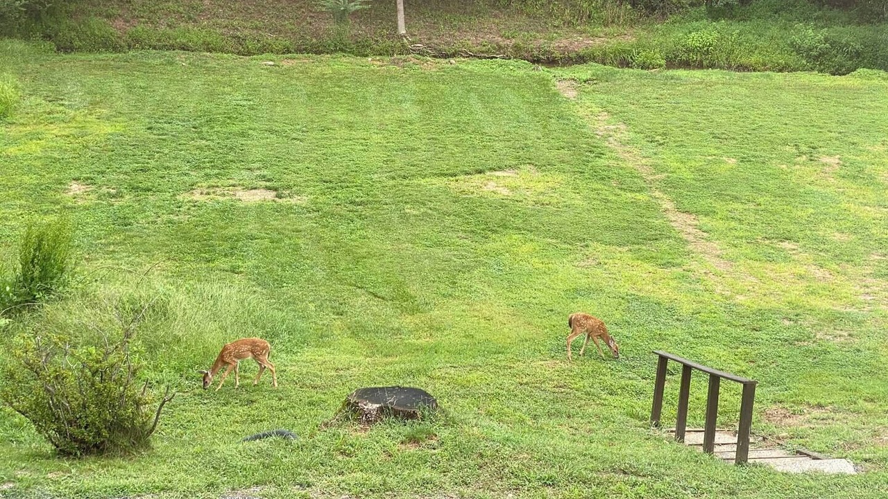 Photo of Outdoor in Leesburg