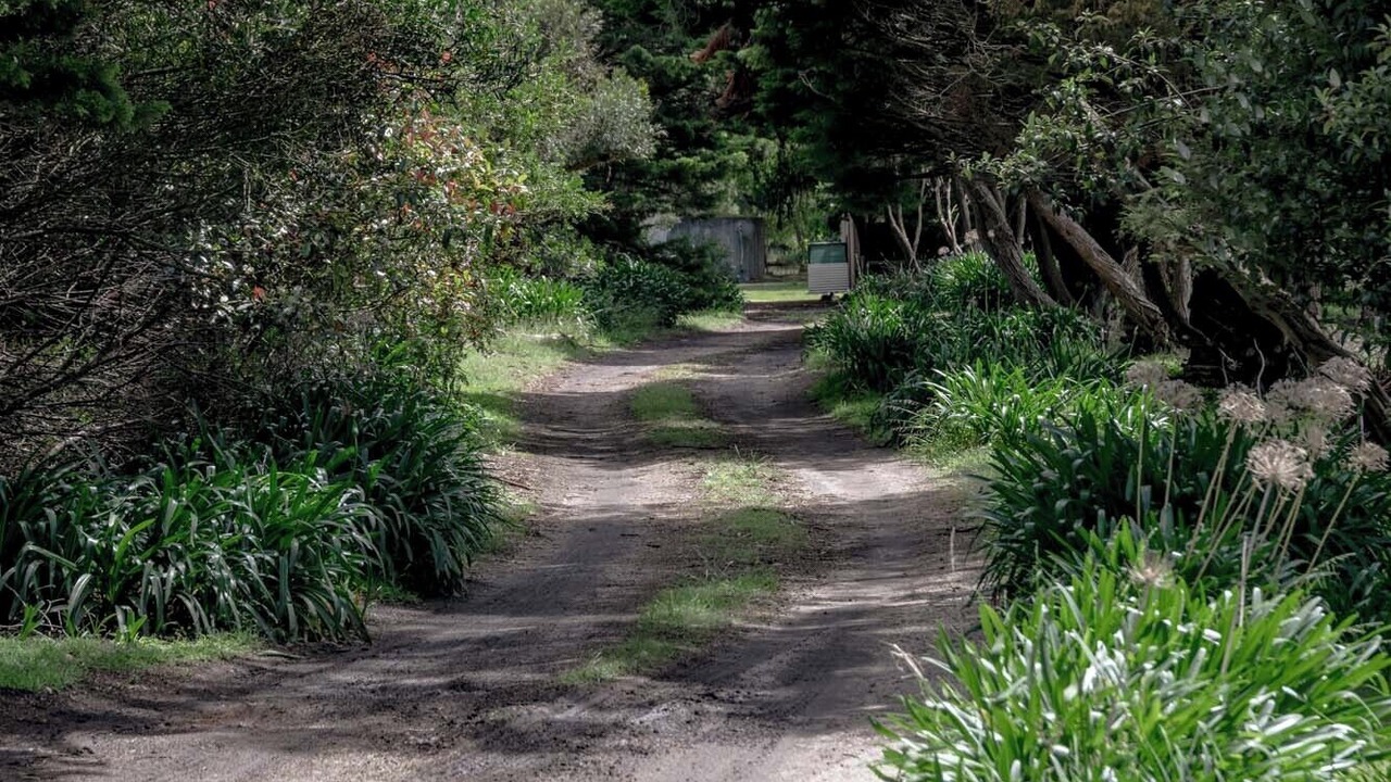 Photo of Others in Torquay