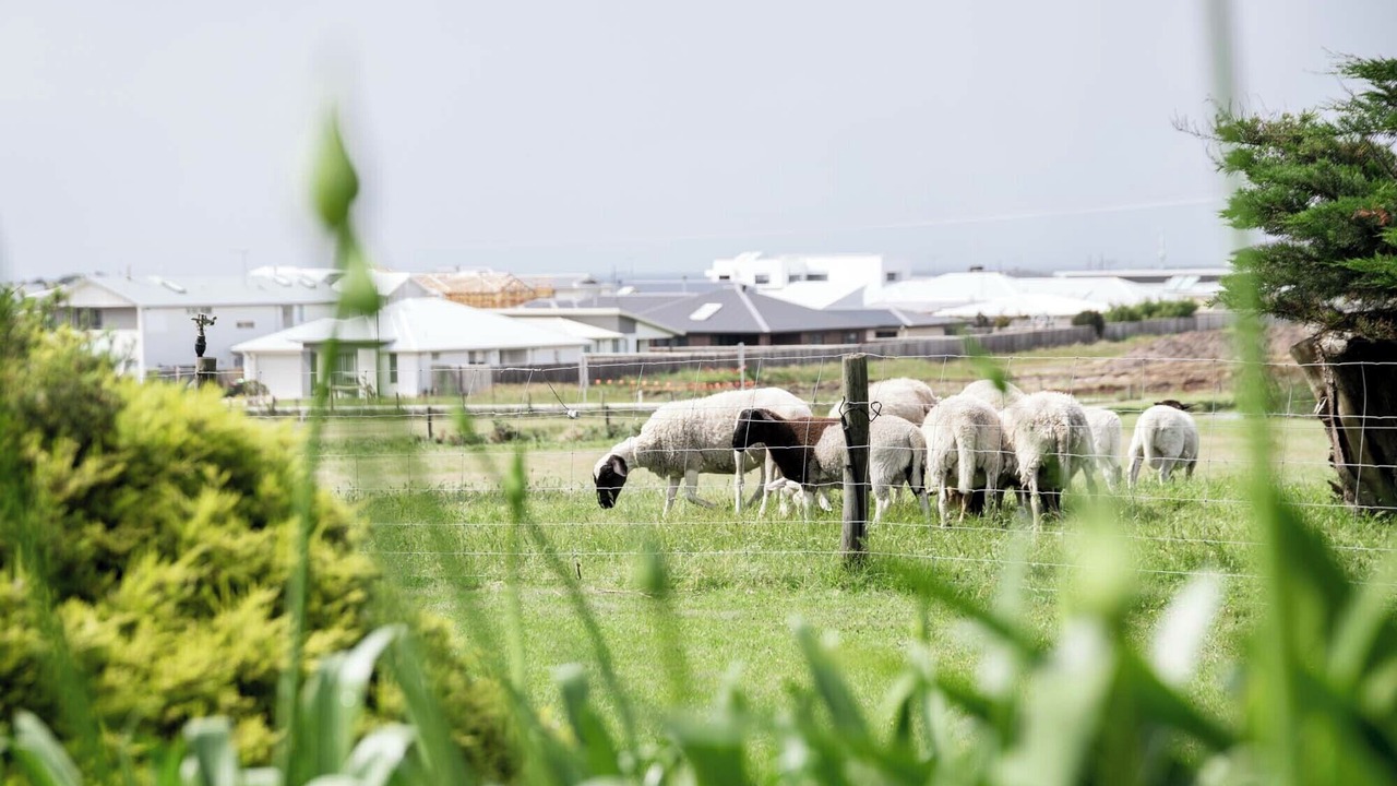Photo of Others in Torquay