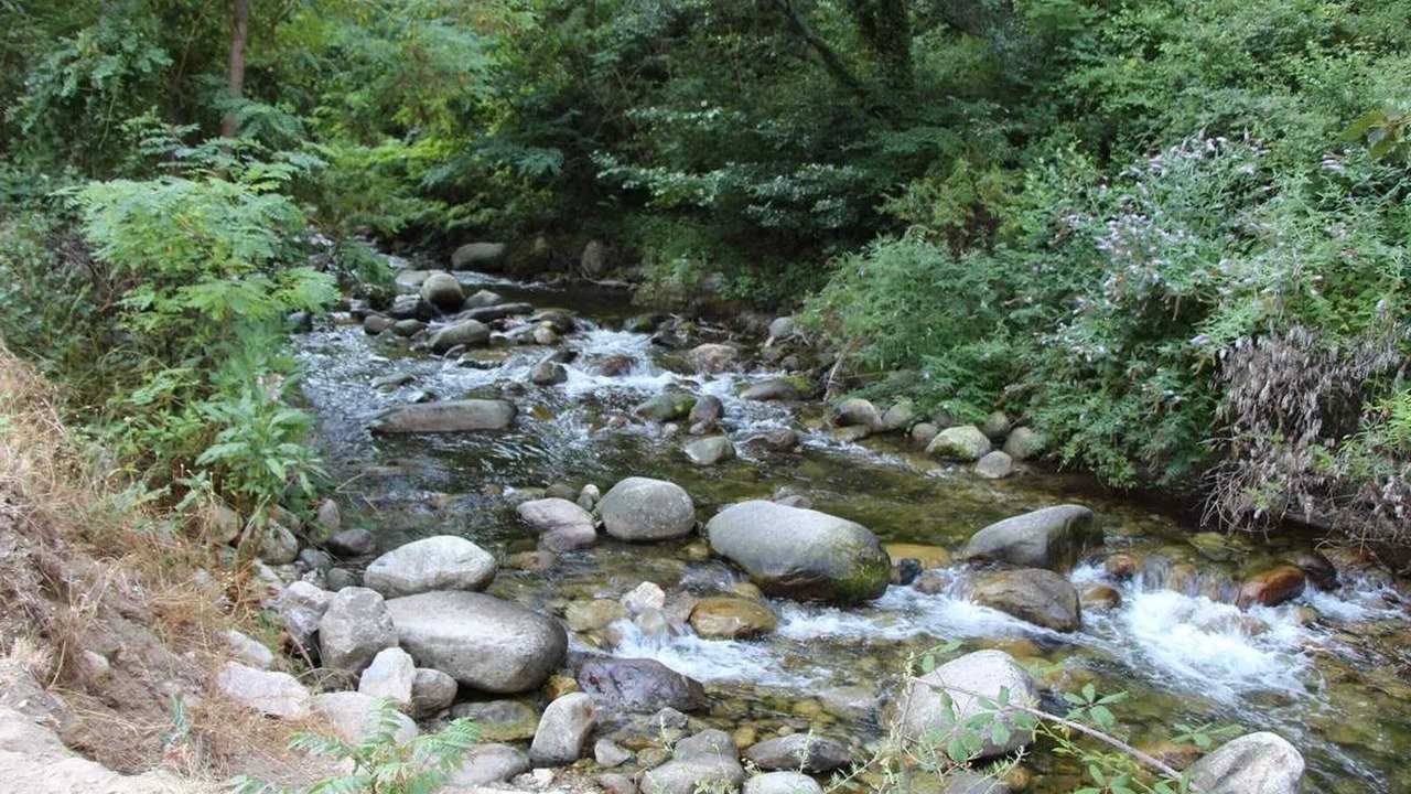 Photo of Others in Villefranche-de-Conflent