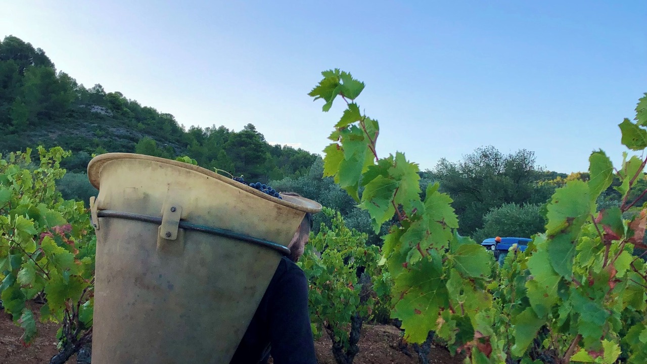 Photo of Others in Camplong-d'Aude