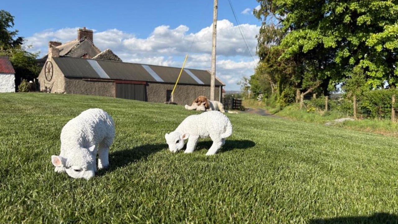 Photo of Outdoor in Greencastle