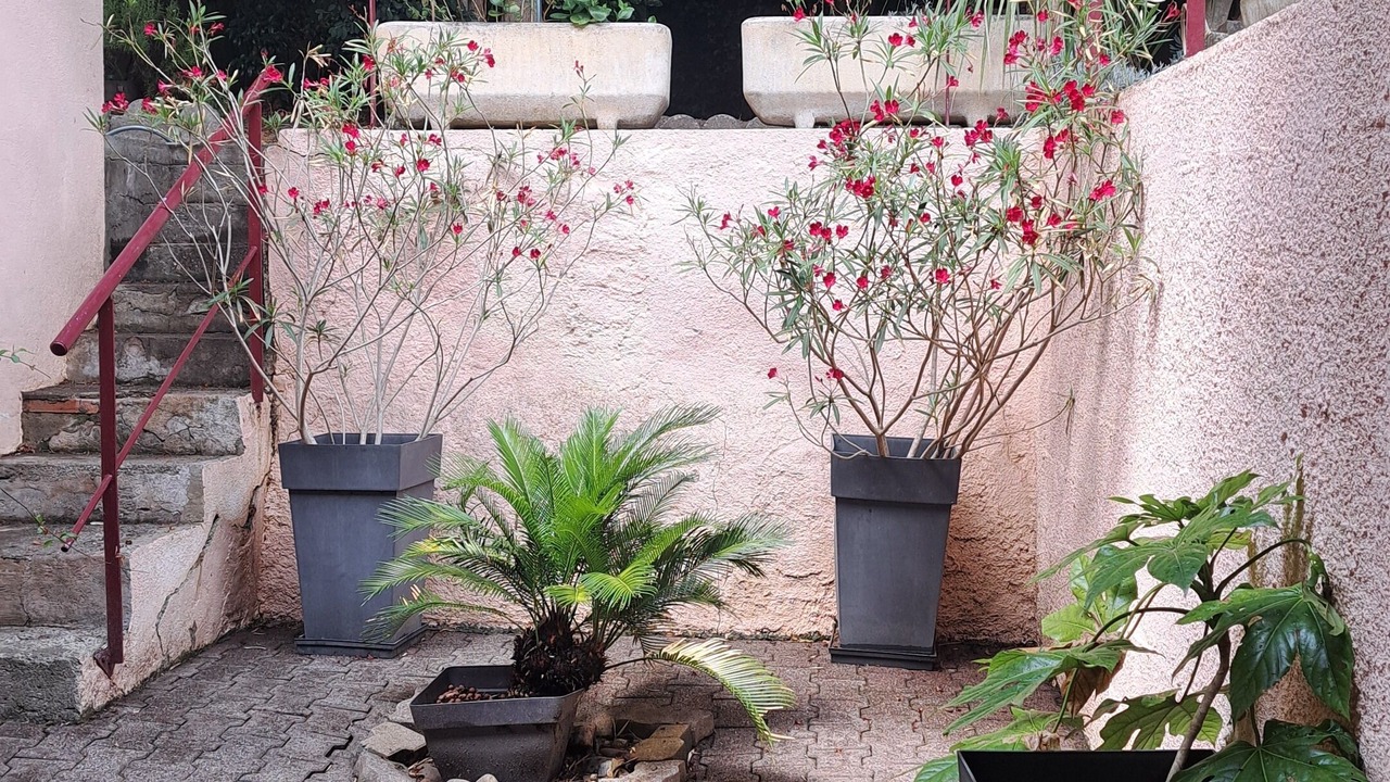 Photo of Outdoor in Colomiers