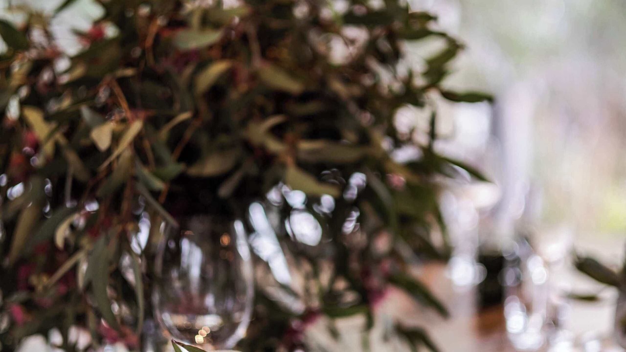 Photo of Others in Moama