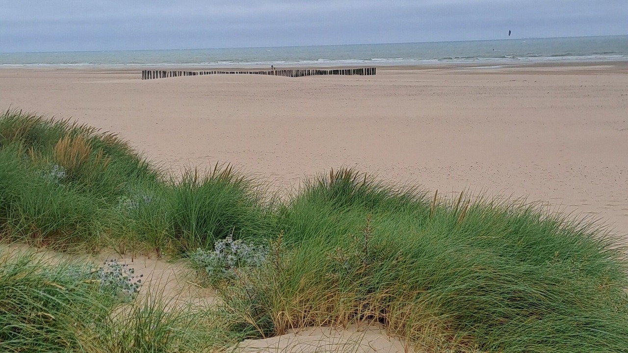 Photo of Others in Bleriot-Plage