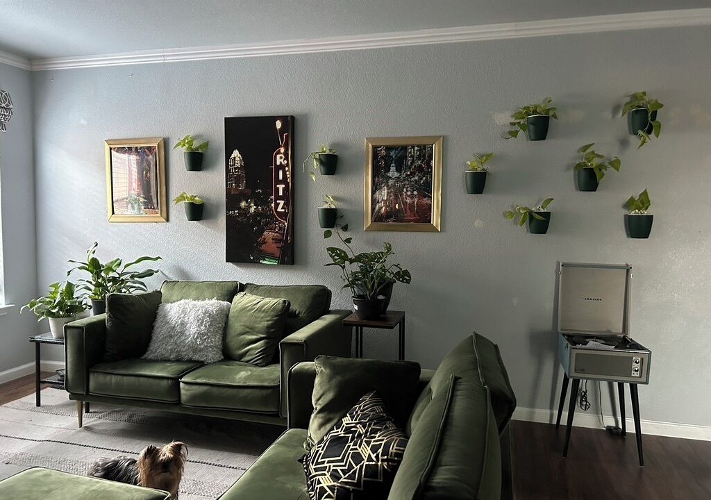 Photo of Livingroom in Manchaca