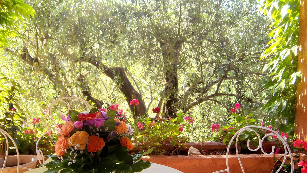 Photo of Outdoor in Le Rouret