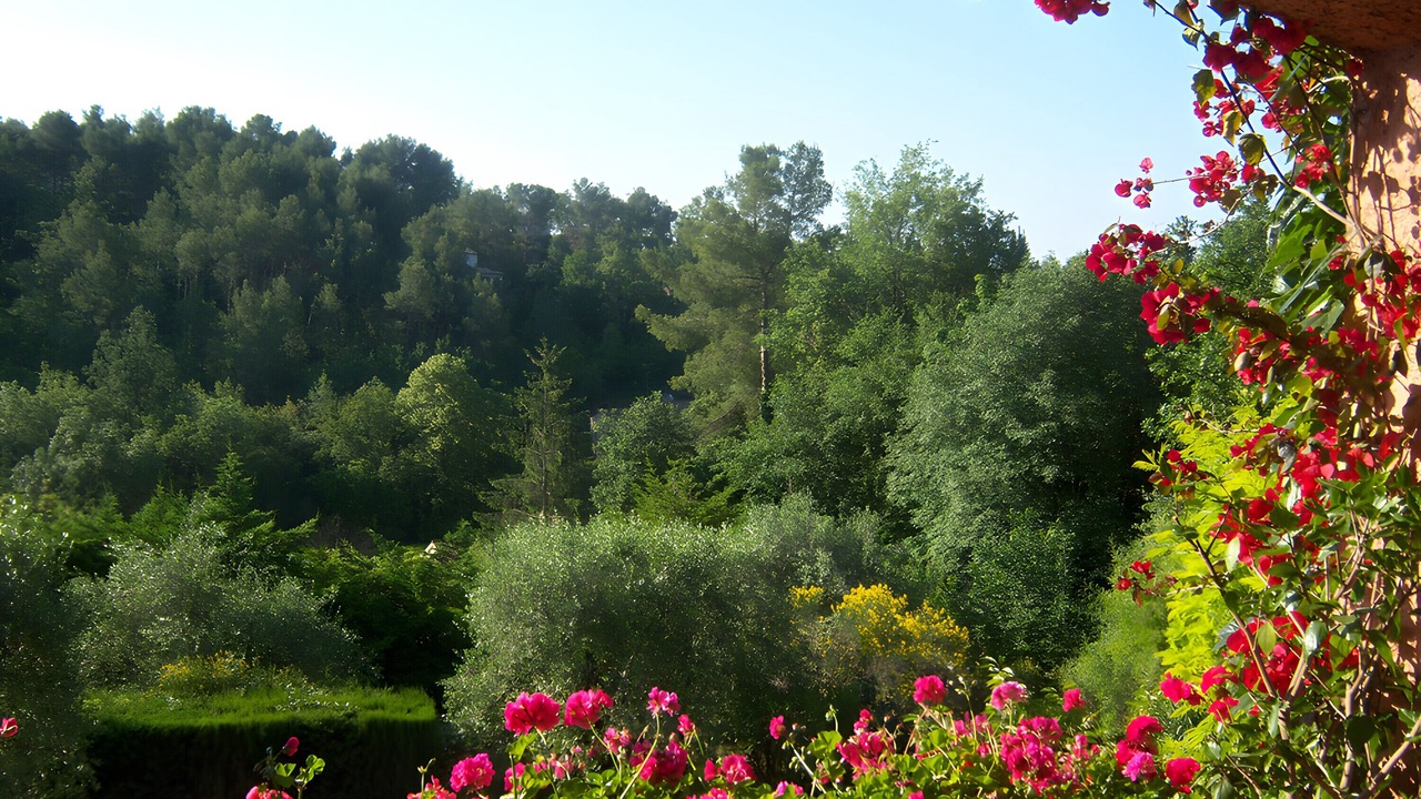 Photo of Others in Le Rouret