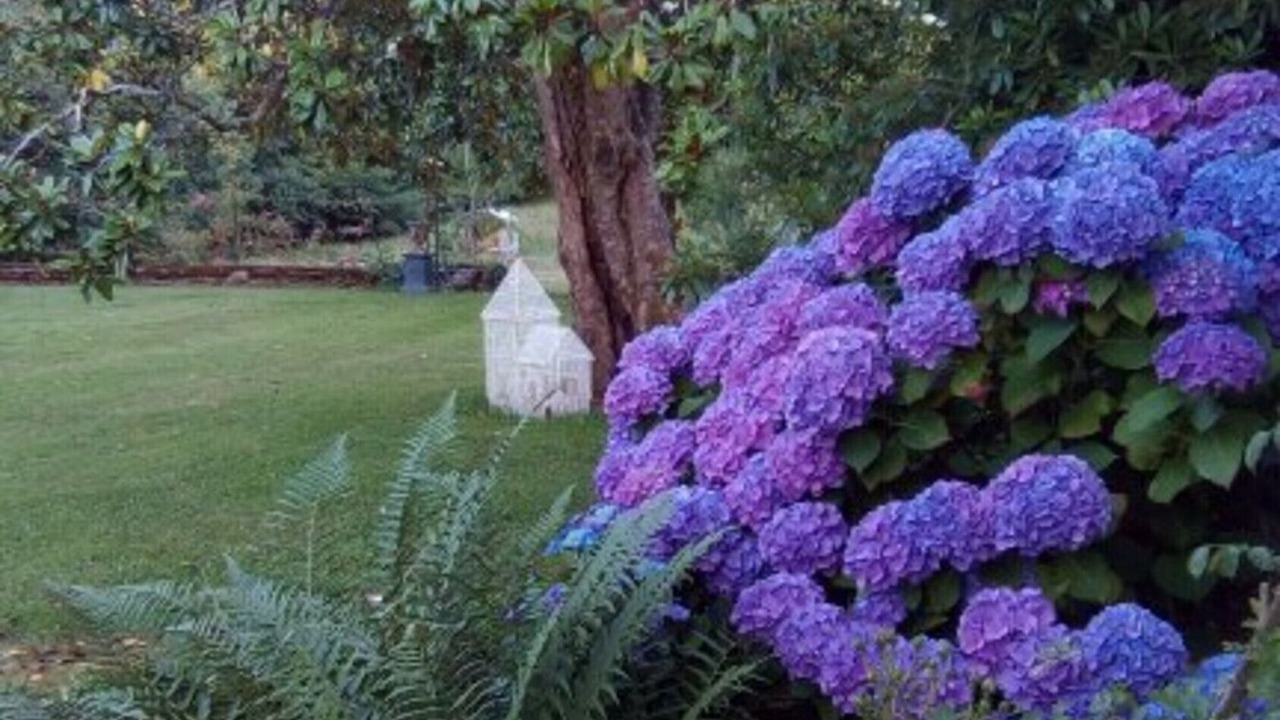 Photo of Outdoor in Naves