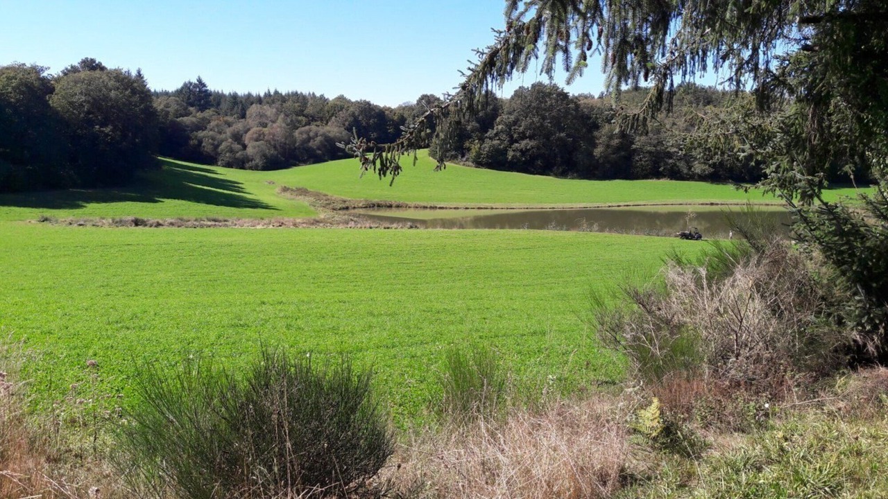 Photo of Others in Naves