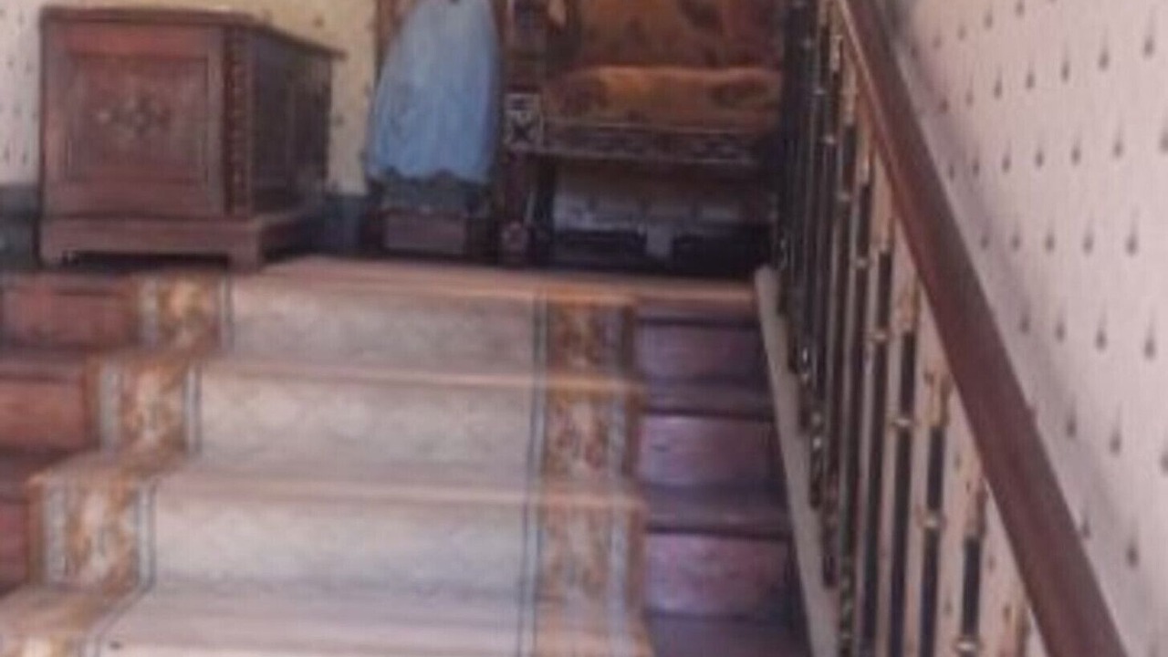 Photo of Others in Naves