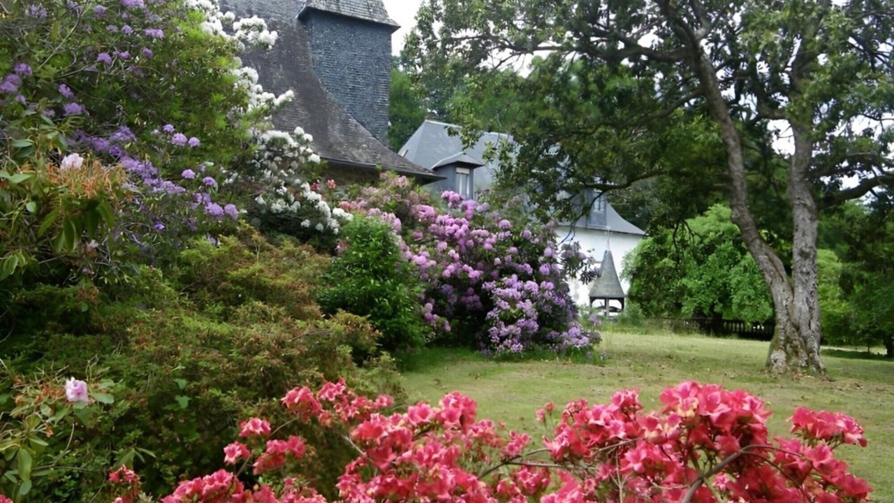 Photo of Outdoor in Naves