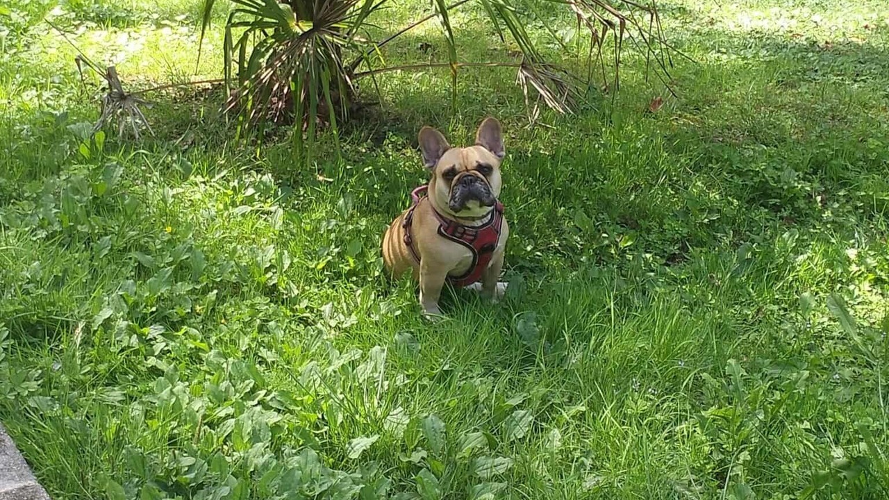 Photo of Outdoor in Le Riols