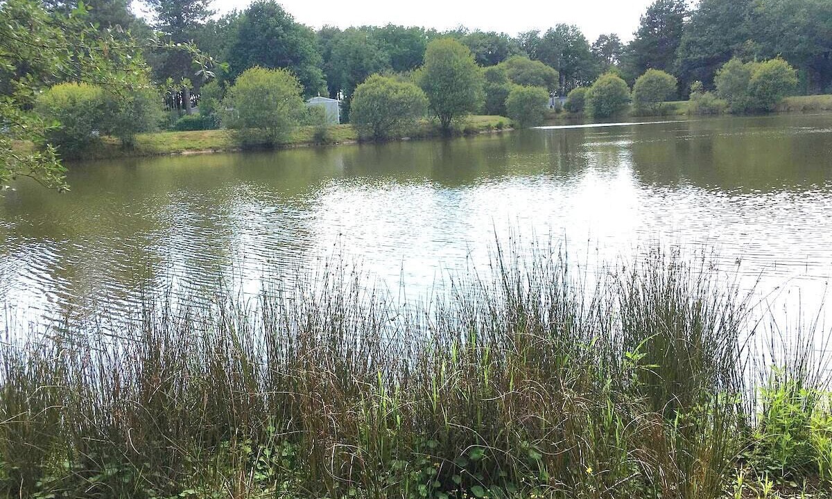 Photo of Others in La Boissiere-de-Montaigu