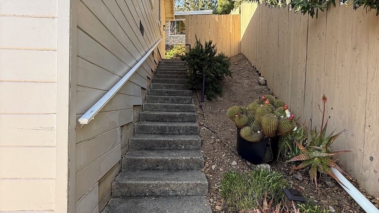 Photo of Others in Belmont