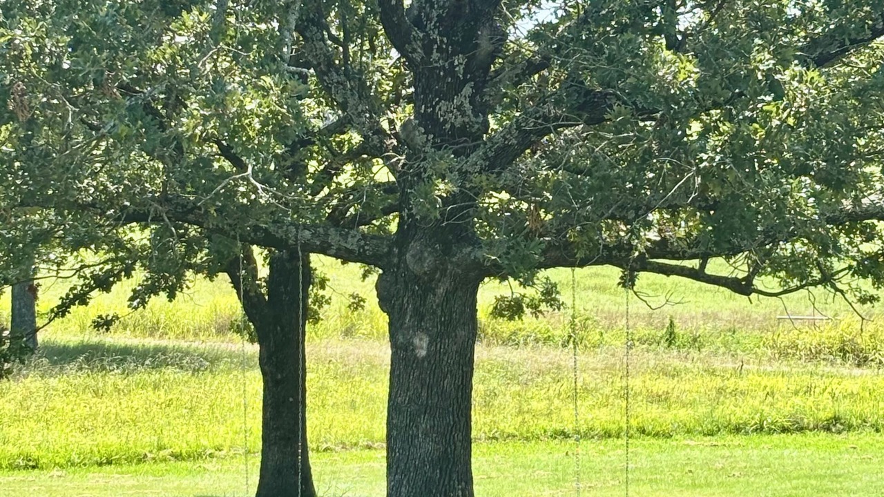 Photo of Others in Atoka