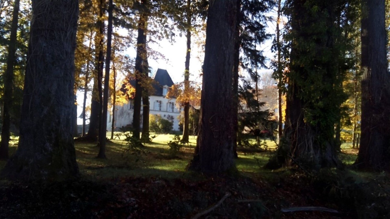 Photo of Outdoor in Naves