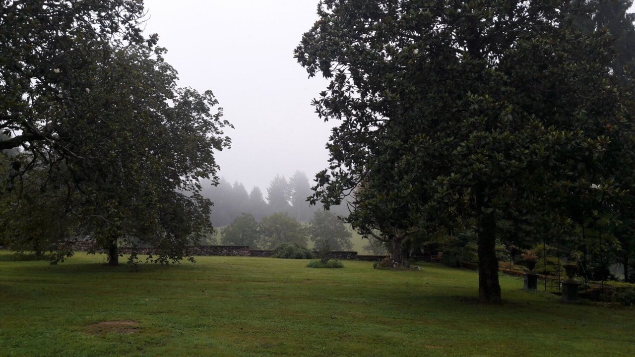 Photo of Outdoor in Naves