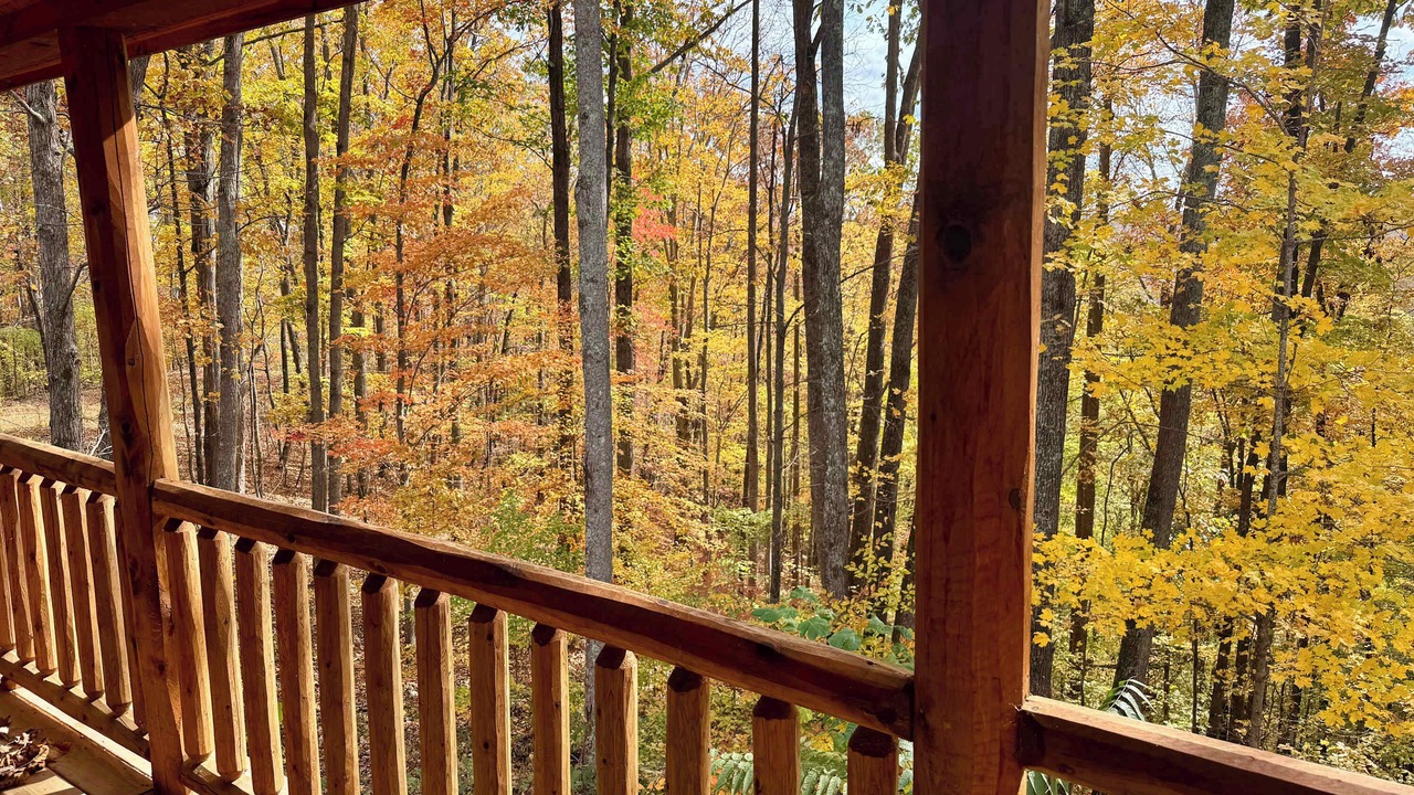 Photo of Outdoor in Smithville