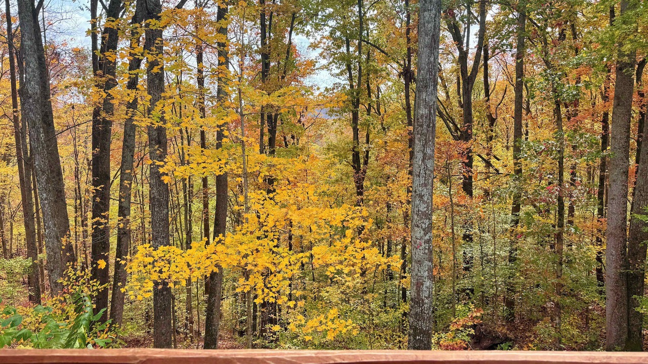 Photo of Patio Balcony in Smithville