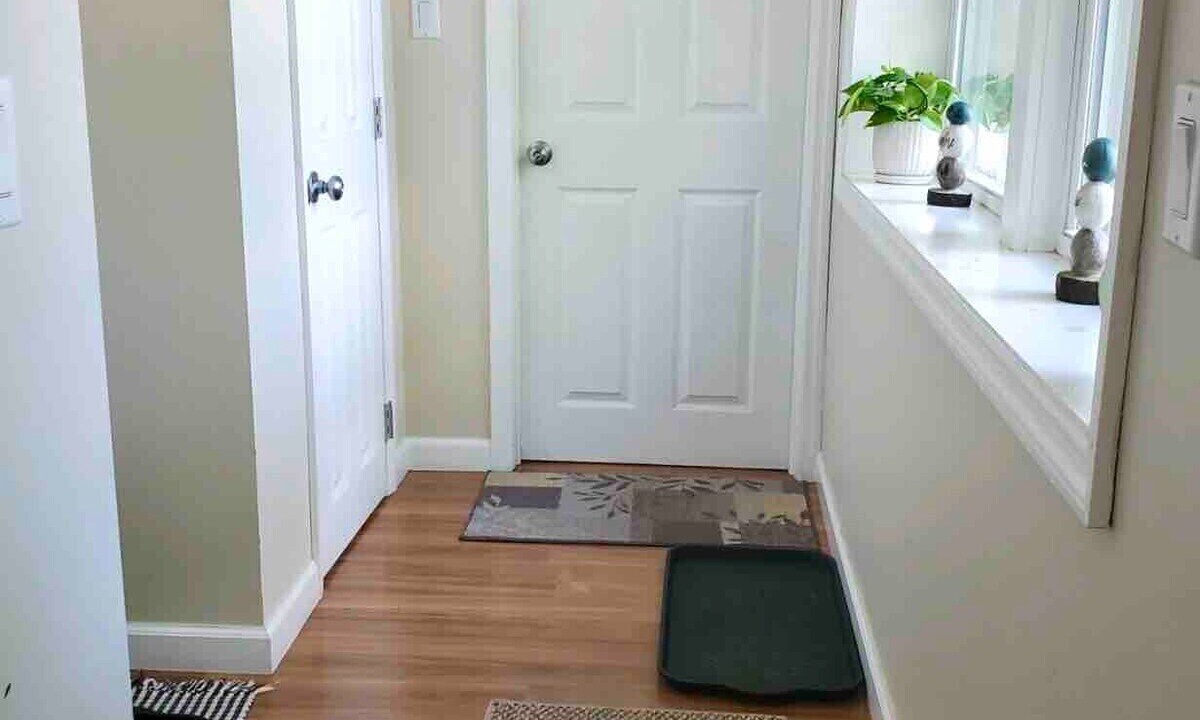 Photo of Others in Saranac Lake