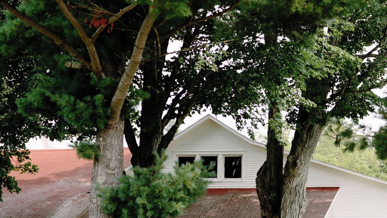 Photo of Outdoor in Lake Leelanau