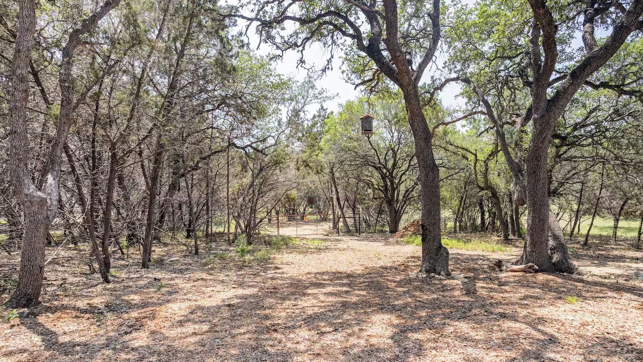 Photo of Others in Boerne