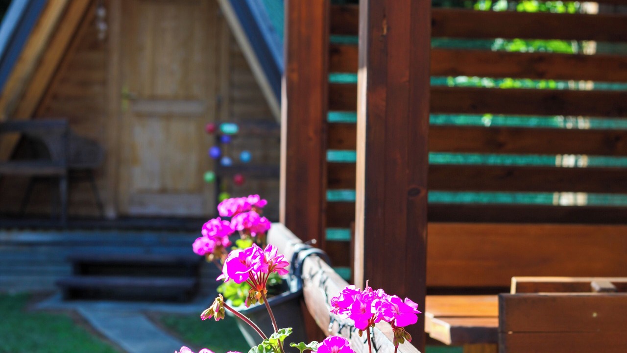 Photo of Outdoor in Seliste