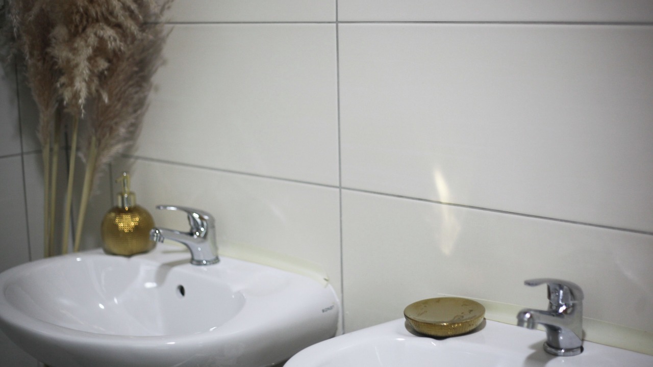 Photo of Bathroom in Seliste