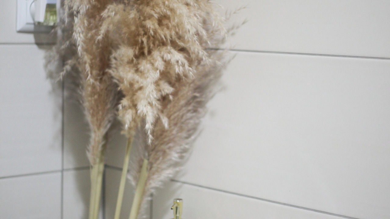 Photo of Bathroom in Seliste